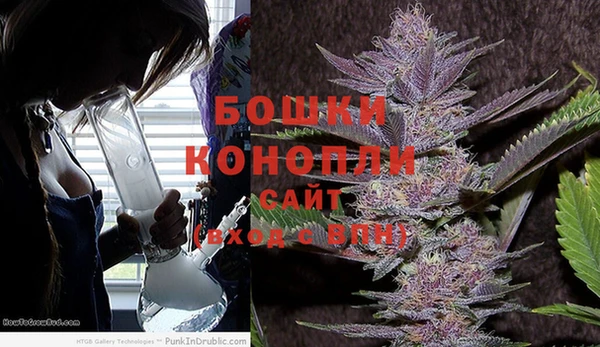 гашик Балахна