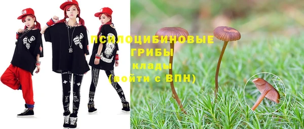 гашик Балахна