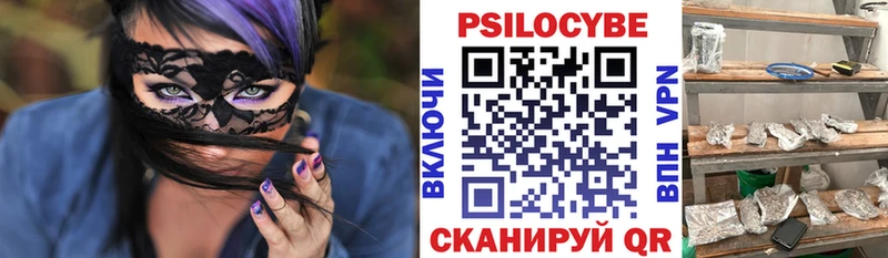 как найти закладки  Ленск  Галлюциногенные грибы Magic Shrooms 