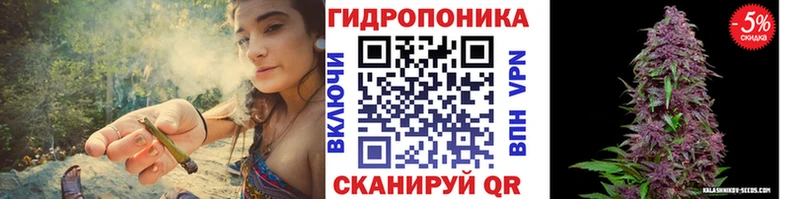 OMG маркетплейс Ленск Шишки марихуана план